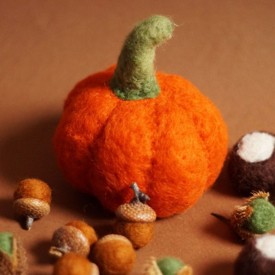 Wollvlies Kürbis