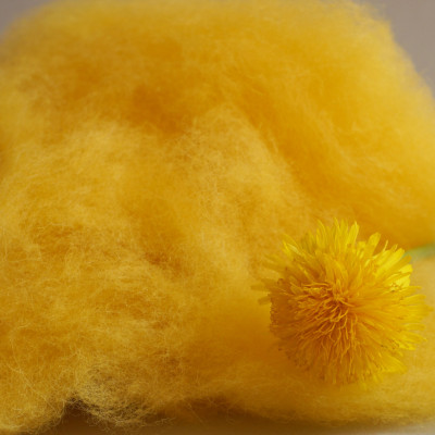 Merinovlies Löwenzahn