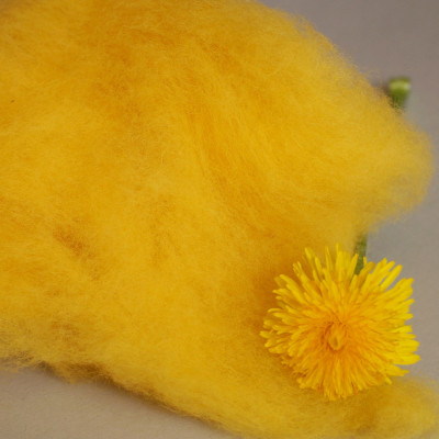 Merinovlies Löwenzahn