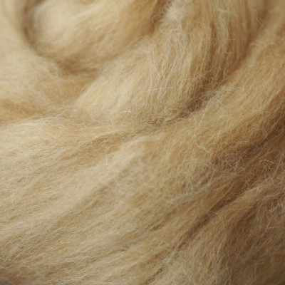 Kammzug vom Babykamel