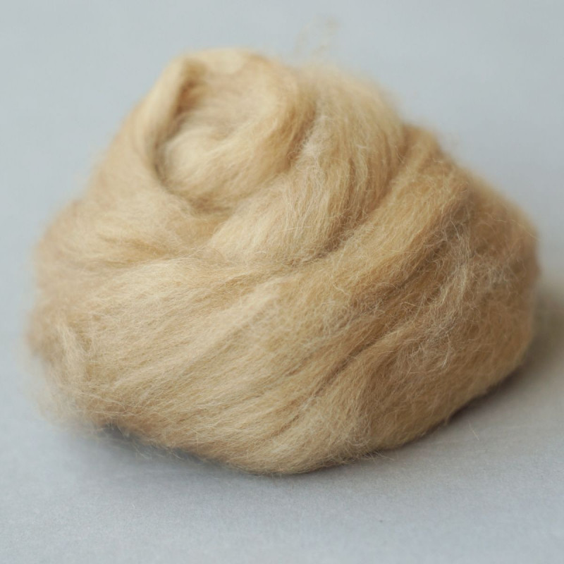 Kammzug vom Babykamel