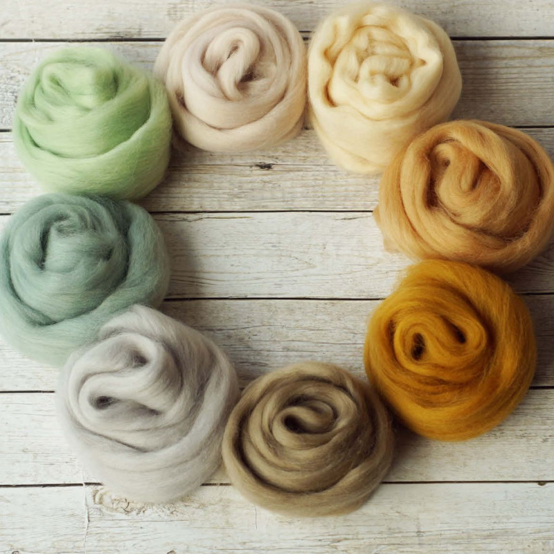 Kammzugset  Mint-Beige