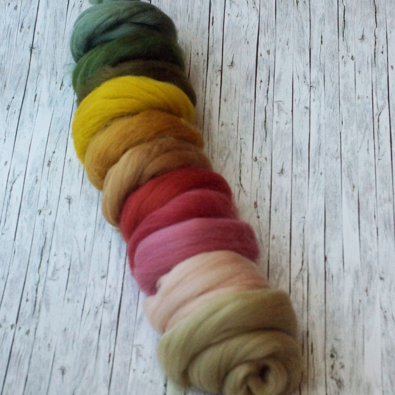 Kammzugset mit 11 Farben