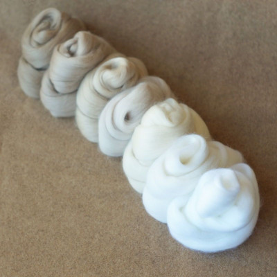 Kammzugset in 7 Weiß- und Beigetönen