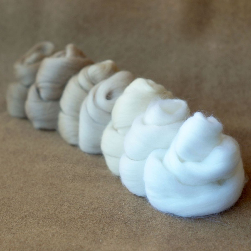 Kammzugset in 7 Weiß- und Beigetönen