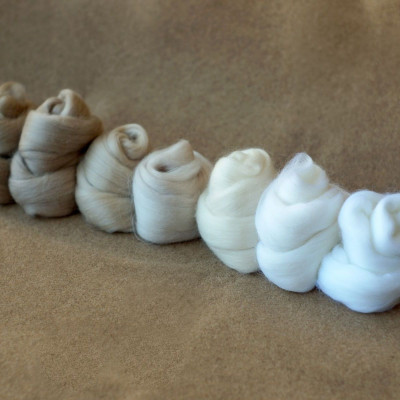 Kammzugset in 7 Weiß- und Beigetönen