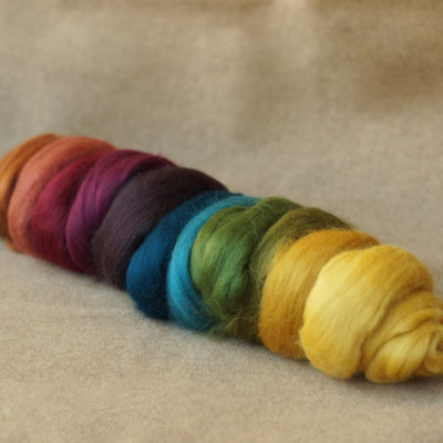 Kammzugset dunkel-edler Regenbogen