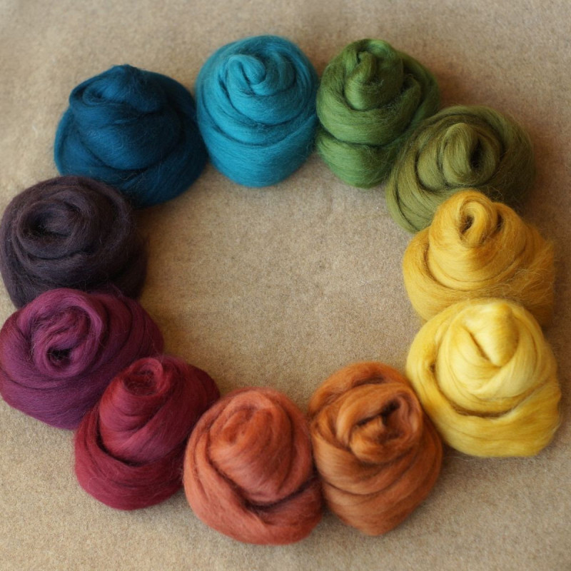 Kammzugset dunkel-edler Regenbogen