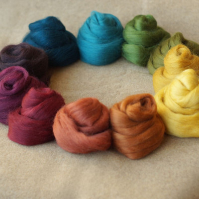 Kammzugset dunkel-edler Regenbogen