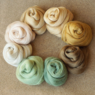 Kammzugset in 8 Beige- und Minttönen