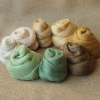 Kammzugset in 8 Beige- und Minttönen