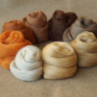 Kammzugset in 8 Beige-, Braun- und Orangetönen