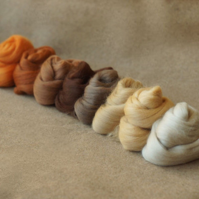 Kammzugset in 8 Beige-, Braun- und Orangetönen