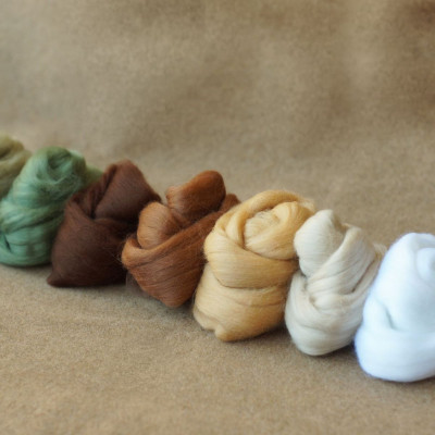 Kammzugset in 7 Beige-, Braun- und Grüntönen