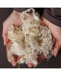 Wensleydale Locken Naturweiß