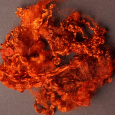 Wensleydale Locken Rot