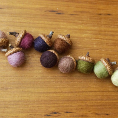 Große Eichelhütchen