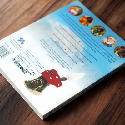 Making Fairy Folk • Steffi Stern