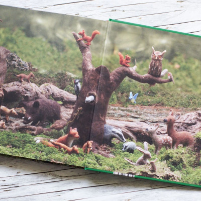 Filzen von heimischen Tieren • Rotraud Reinhard