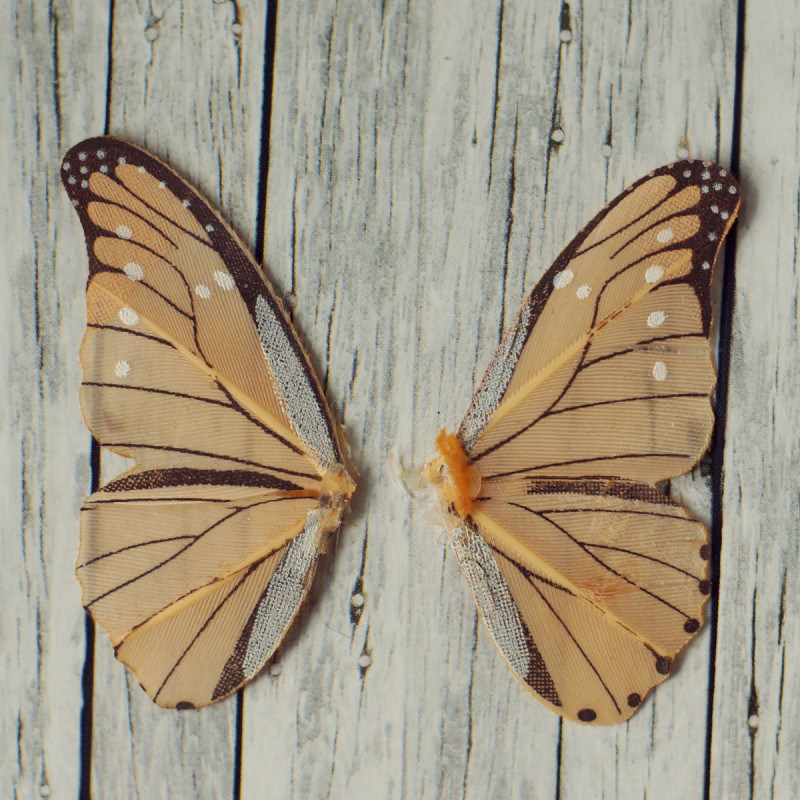 FEENFLÜGEL KLEIN Apricot
