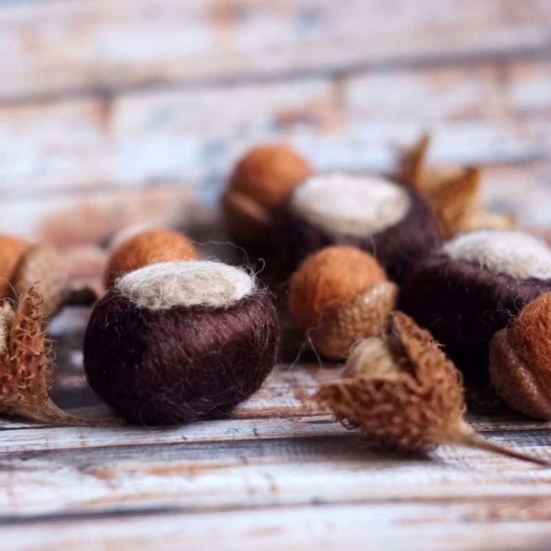 Herbstliches Dekoset mit Ramiekastanien, Wolleicheln und -bucheckern