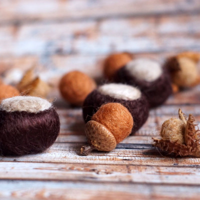 Herbstliches Dekoset mit Ramiekastanien, Wolleicheln und -bucheckern