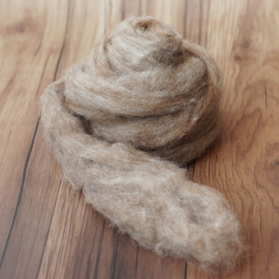 Kardenband 'Kaninchenfarben'