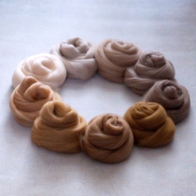 KAMMZUGSET MIT 9 BEIGETÖNEN