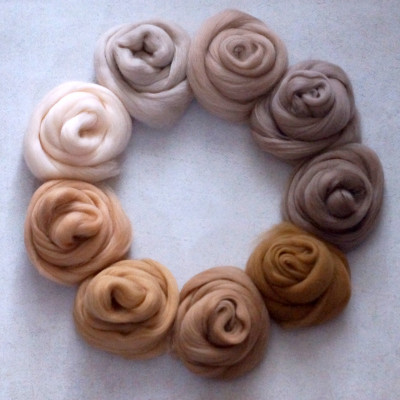 KAMMZUGSET MIT 9 BEIGETÖNEN