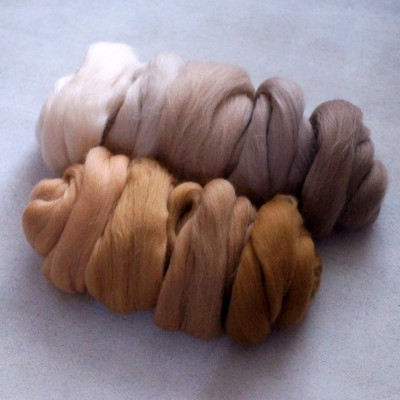 KAMMZUGSET MIT 9 BEIGETÖNEN