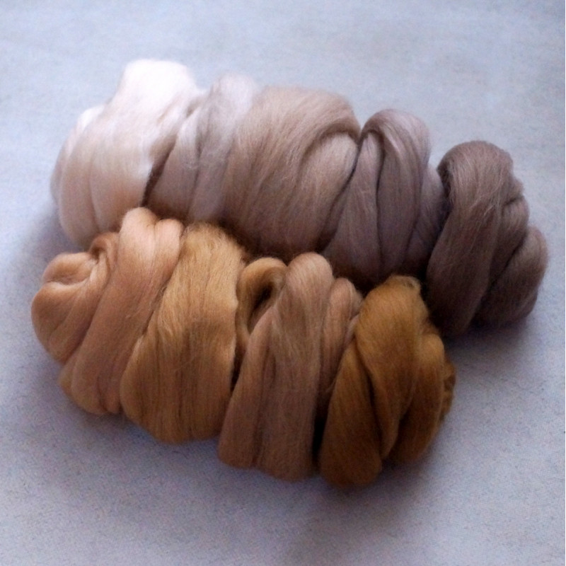 KAMMZUGSET MIT 9 BEIGETÖNEN