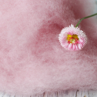Merinovlies Bellis - zartes Rosa