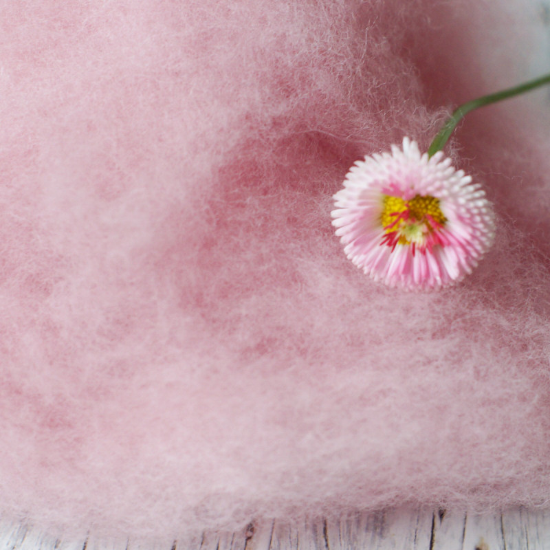 Merinovlies Bellis - zartes Rosa