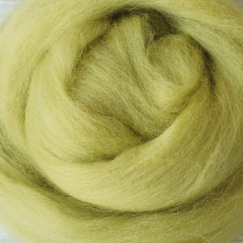 Kammzug Stachelbeere