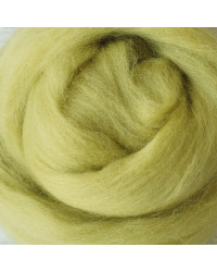 Kammzug Stachelbeere