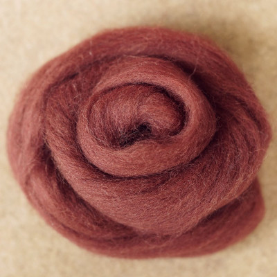 Kammzug Eichhörnchen