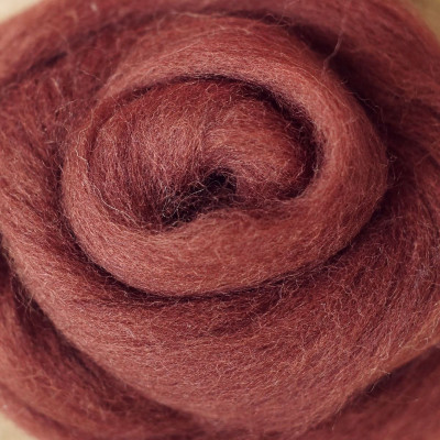 Kammzug Eichhörnchen