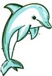 delfin.jpg