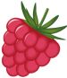 himbeere.jpg