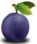 pflaume.jpg