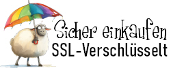 Sicher Einkaufen - SSL-Verschlüsselt