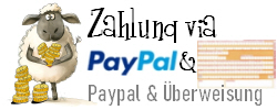 Zahlung via Paypal oder Überweisung